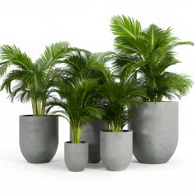Neo planter
